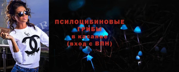 бошки Магас