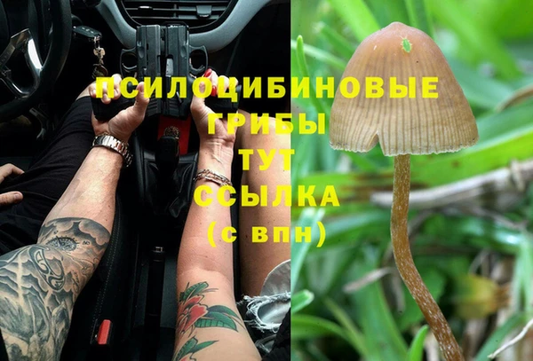 mix Магадан