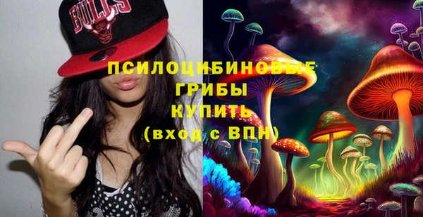 МДПВ Майский