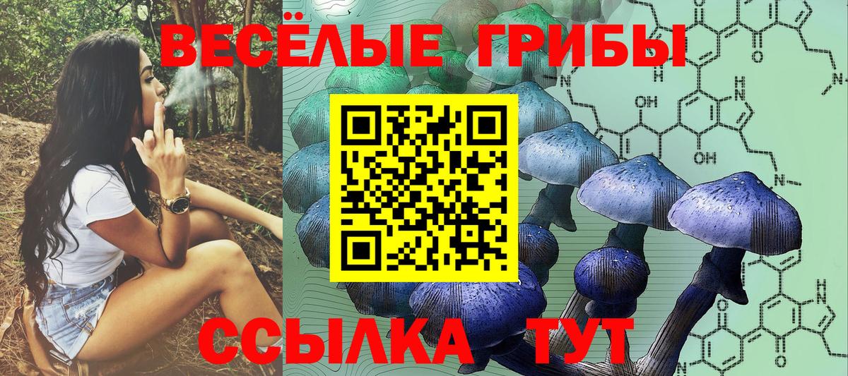 Екатеринбург  Галлюциногенные грибы ЛСД  Вход с VPN 