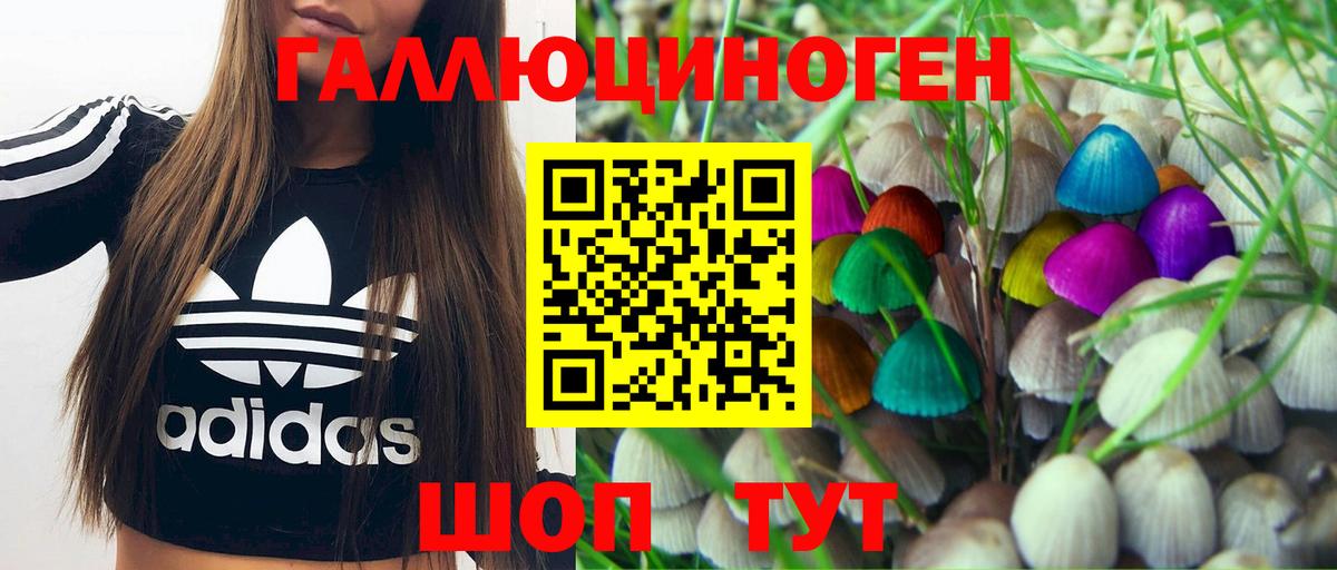 Галлюциногенные грибы Psilocybine cubensis Екатеринбург